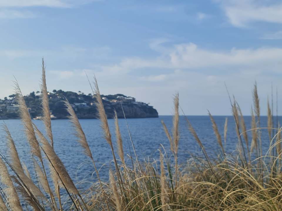 Ausblick Sentido Fido Punta del Mar – Adults only