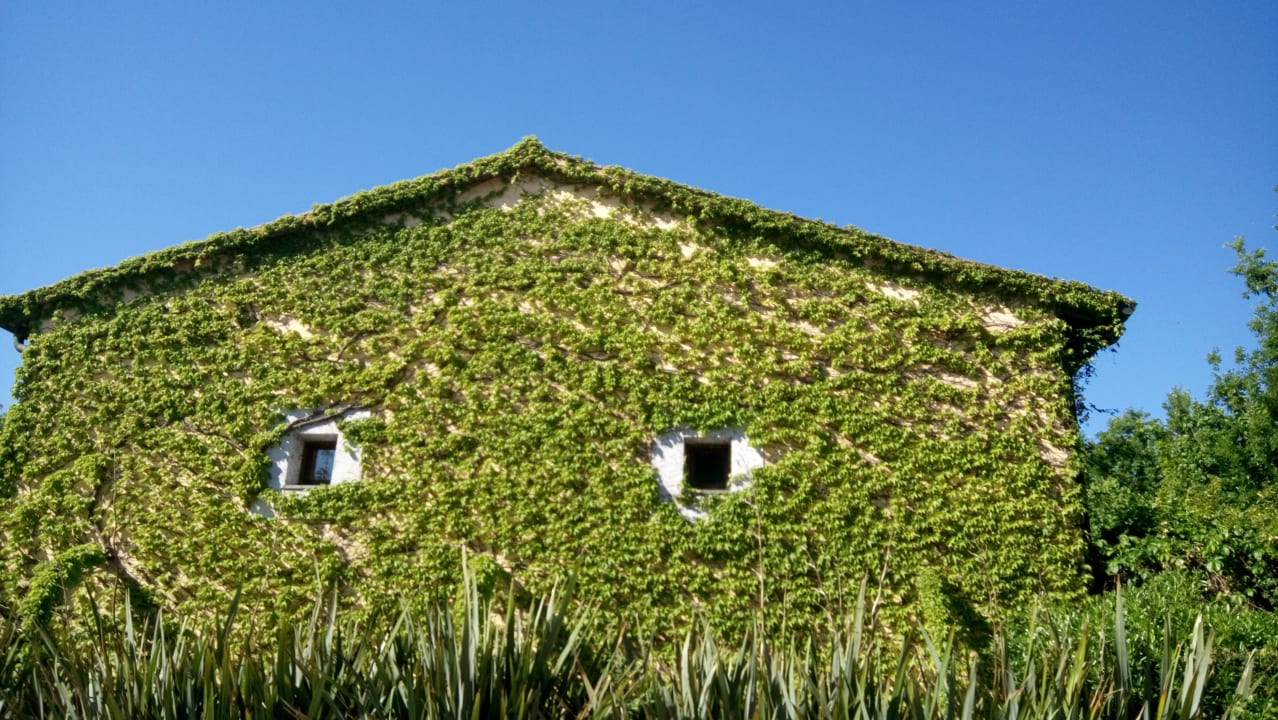 Gartenanlage Hotel Campastrello