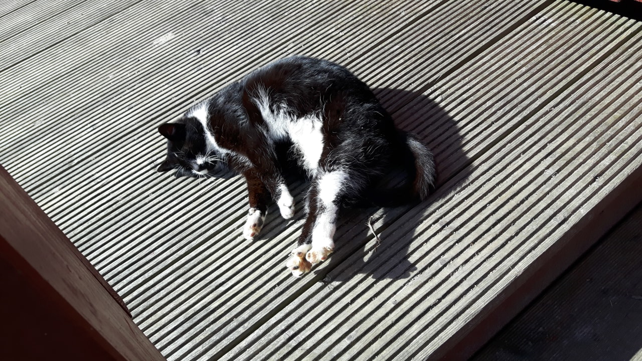 Sonstiges Nordseeferienhof Katthusen