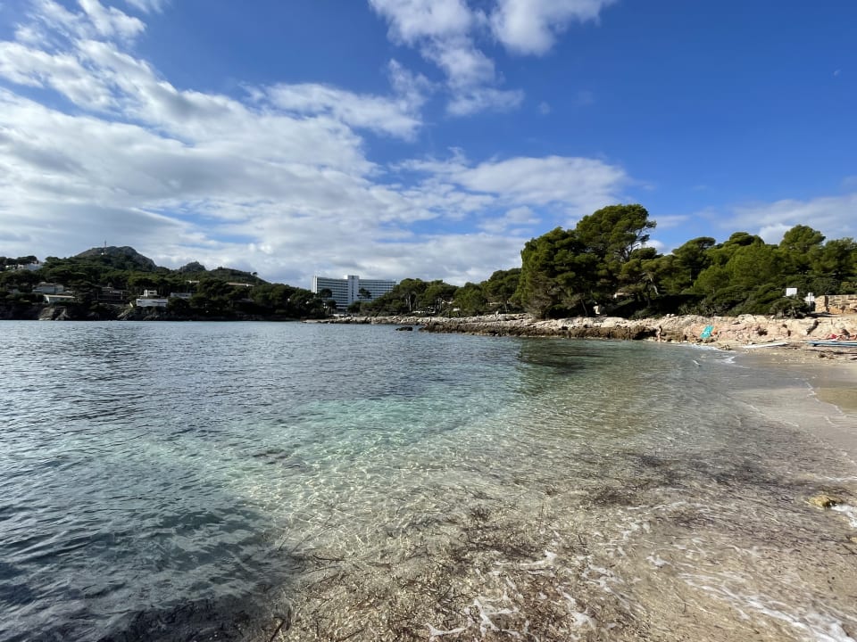 Strand Iberostar Waves Pinos Park