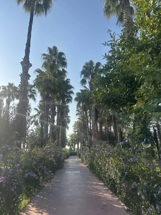 Gartenanlage Adora Hotel & Resort