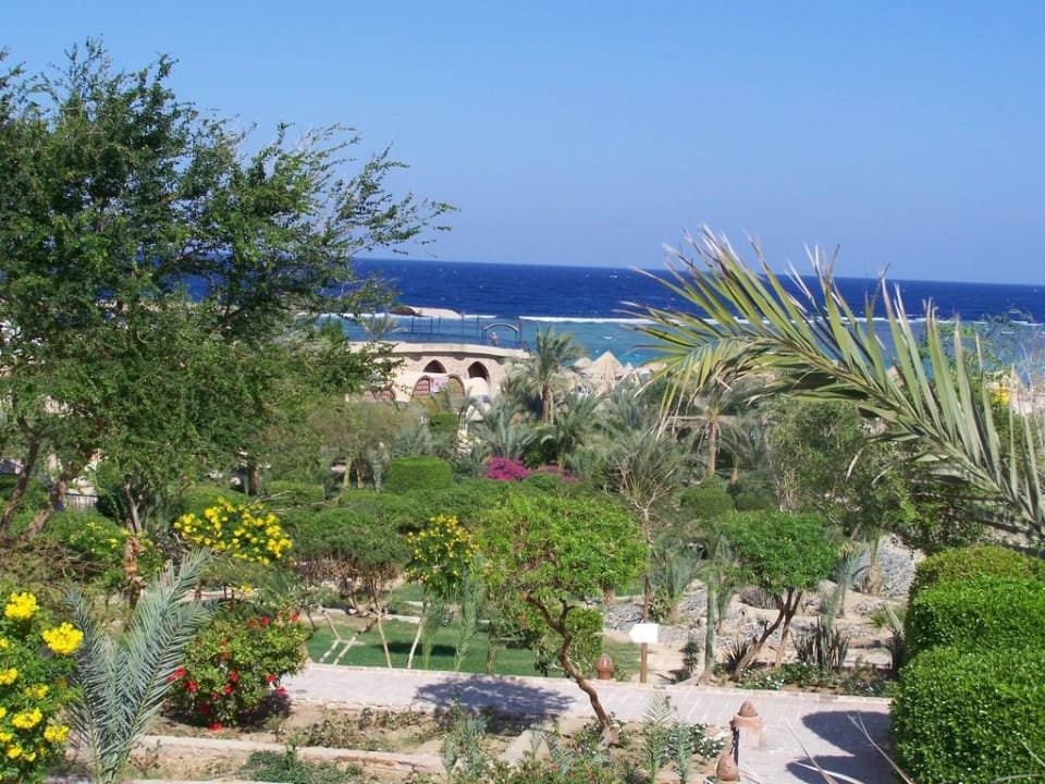Ausblick über die Gartenanlage Utopia Beach Club