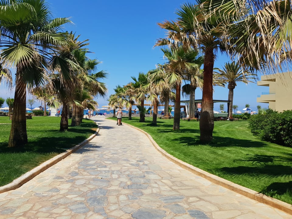 Garten Calimera Sirens Beach