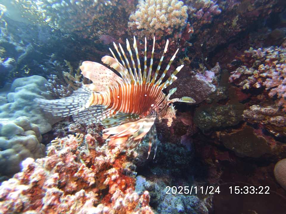 Sport & Freizeit Amarina Abu Soma Resort & Aquapark