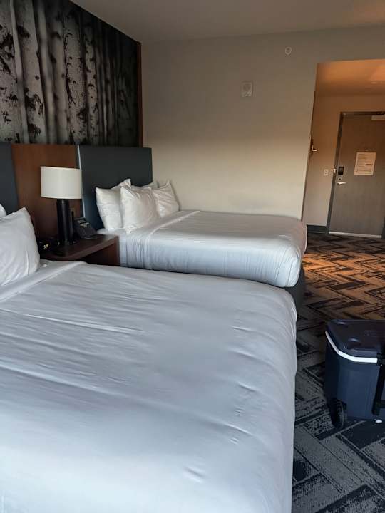 Zimmer The Alder at Resorts World Catskills