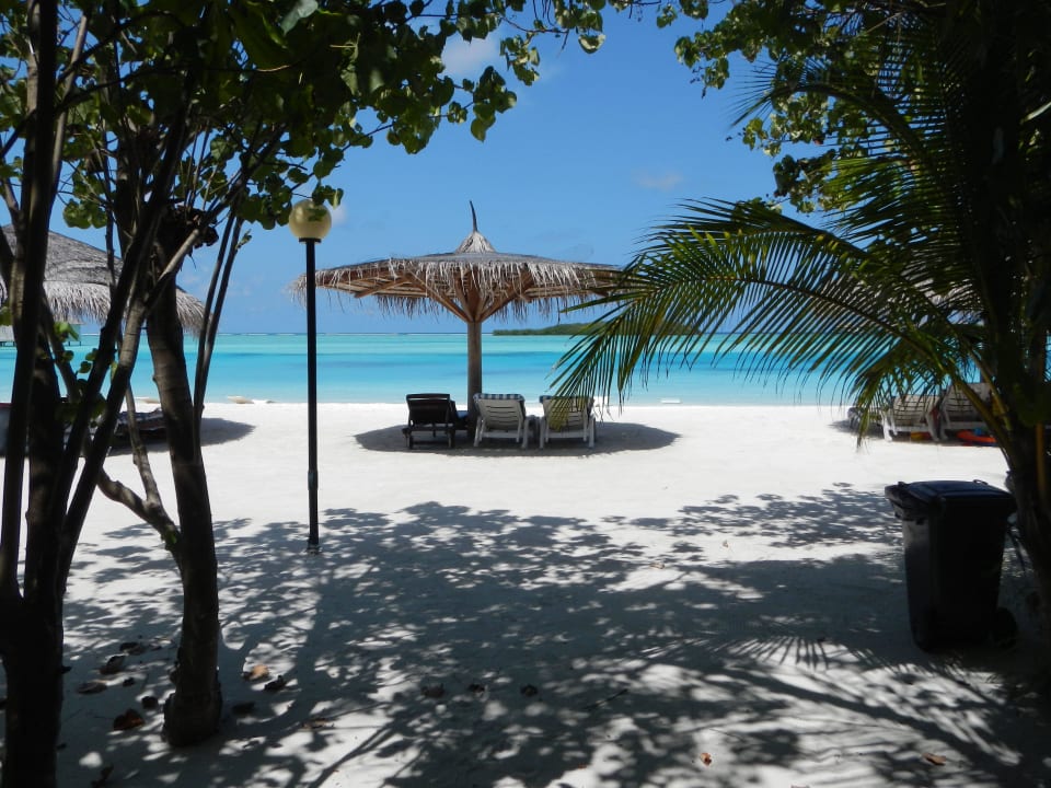 Blick von der Terrasse Bungalow 407 Cinnamon Dhonveli Maldives