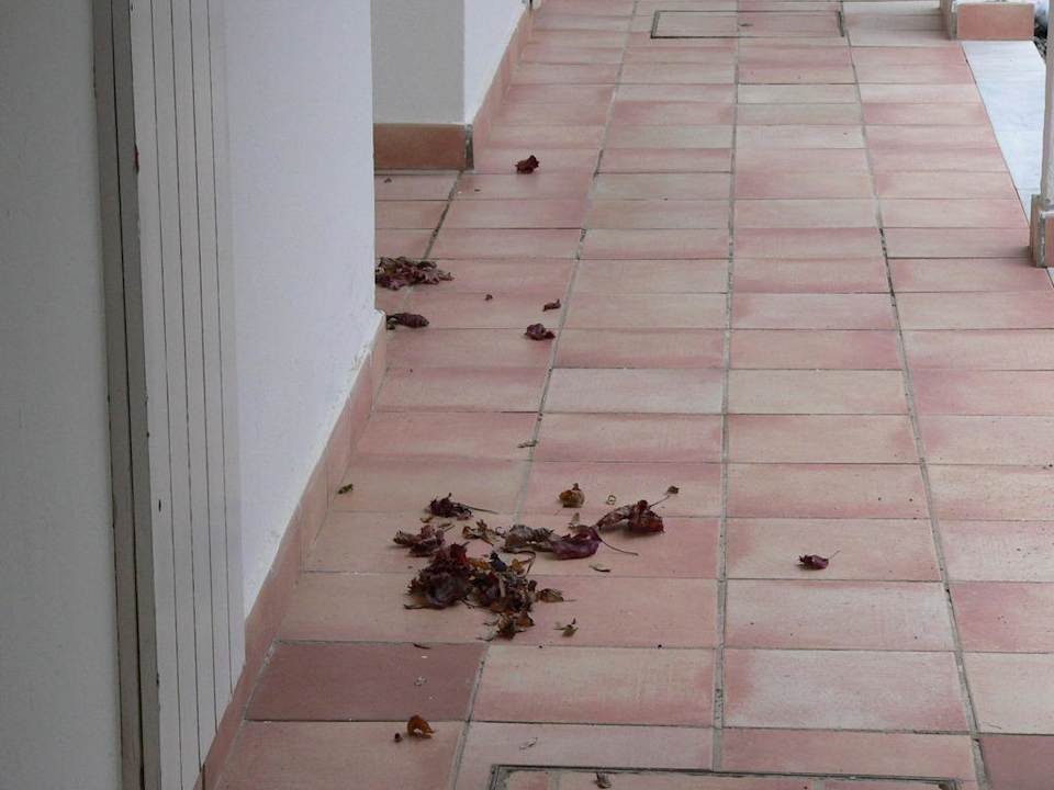 Ungepflegte Außenanlage Club Jandia Princess