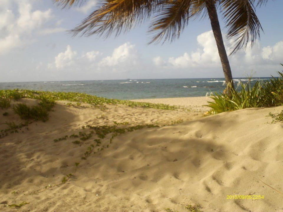 Blick vom Restaurante Grand Paradise Playa Dorada