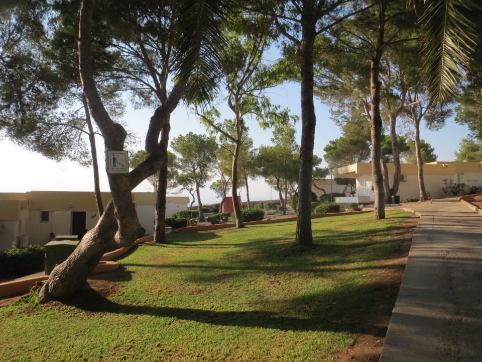 Zentraler Bungalowbereich Sun Club Eldorado