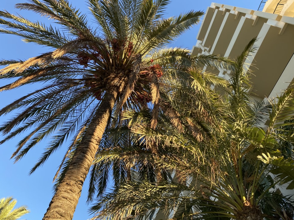 Außenansicht PortoBay Falésia