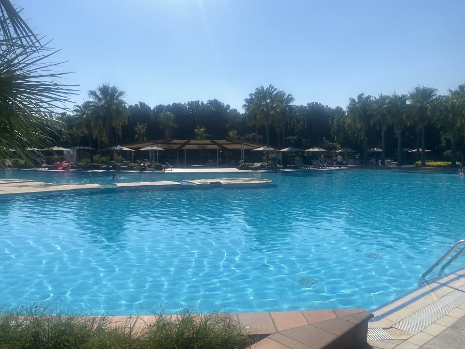 Pool Lara Barut Collection