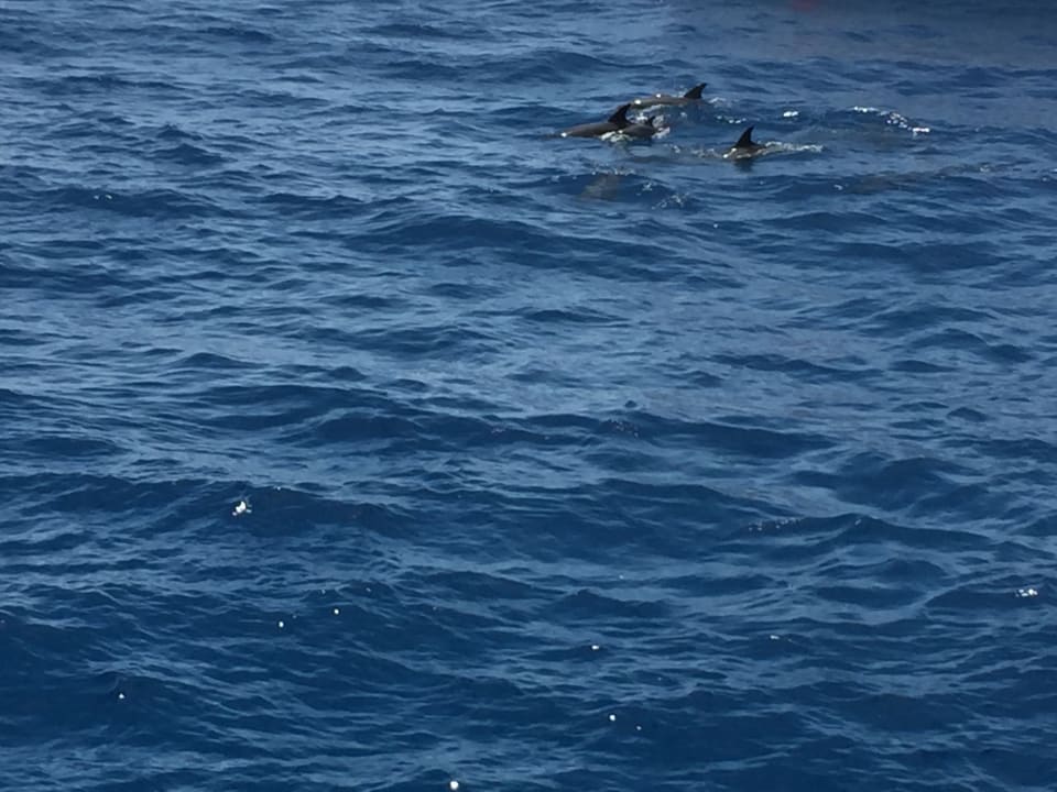 Ausblick Sentido Caribbean World Soma Bay