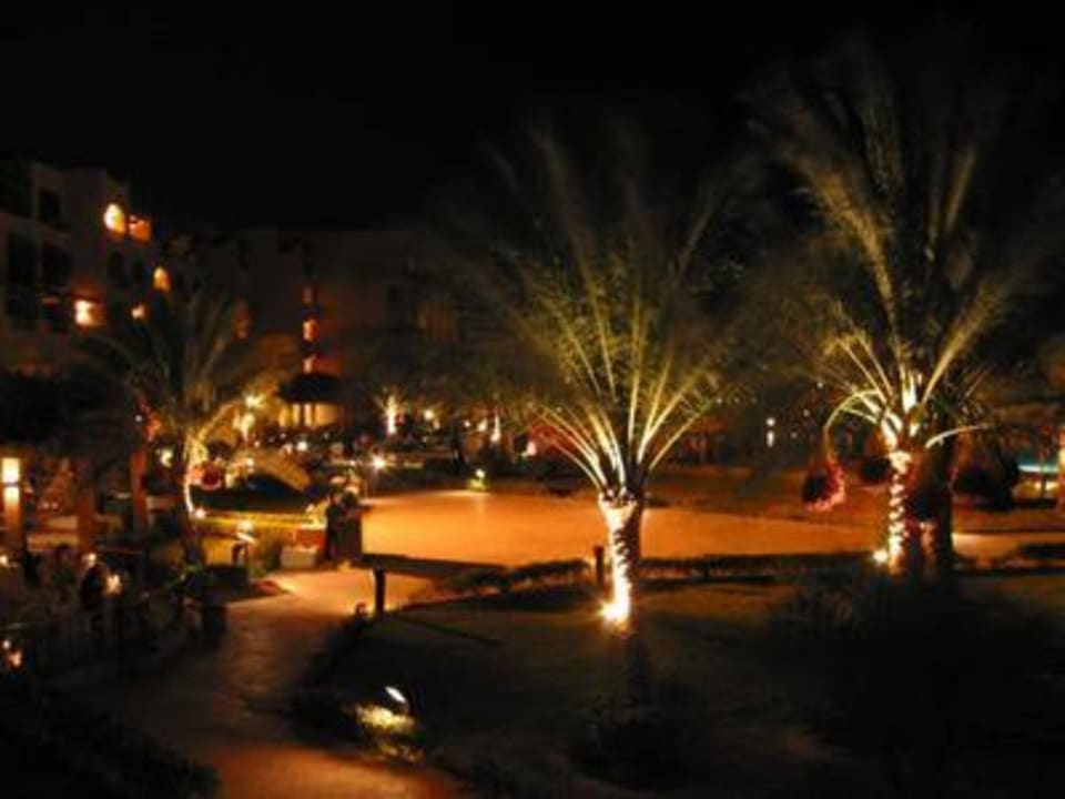 Palmen vor unserem Zimmer in der Nacht Continental Hotel Hurghada