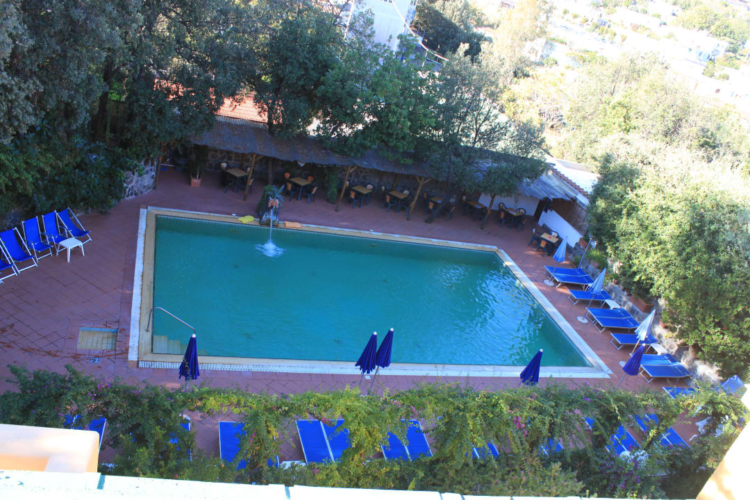 Pool Hotel Cleopatra