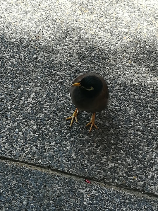 Sonstiges The Briza Beach Resort Khaolak