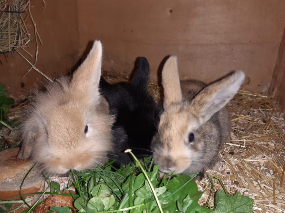 Sport & Freizeit Beim Lenglacher