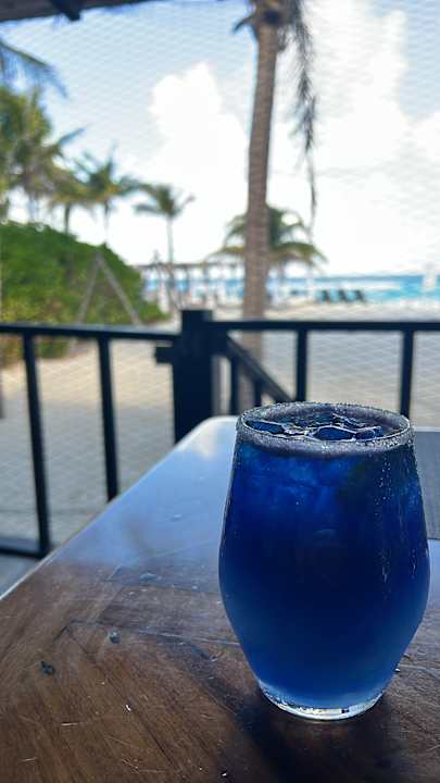 Gastro Hotel Flamingo Cancun Resort