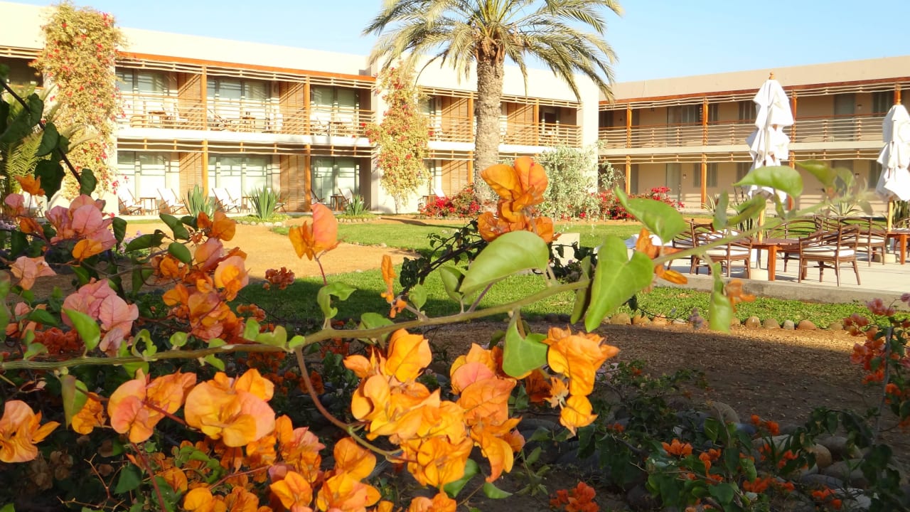 Gartenanlage - gut gepflegt DoubleTree by Hilton Resort Paracas