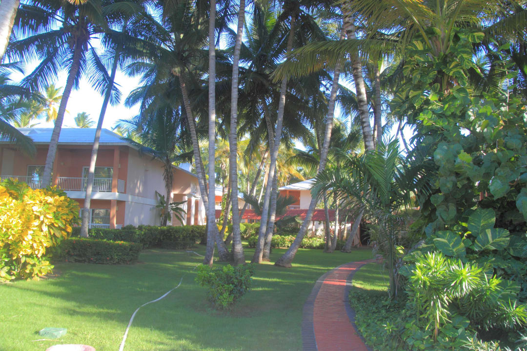 Sehr gepflegt! Hotel Grand Palladium Palace Resort, Spa & Casino