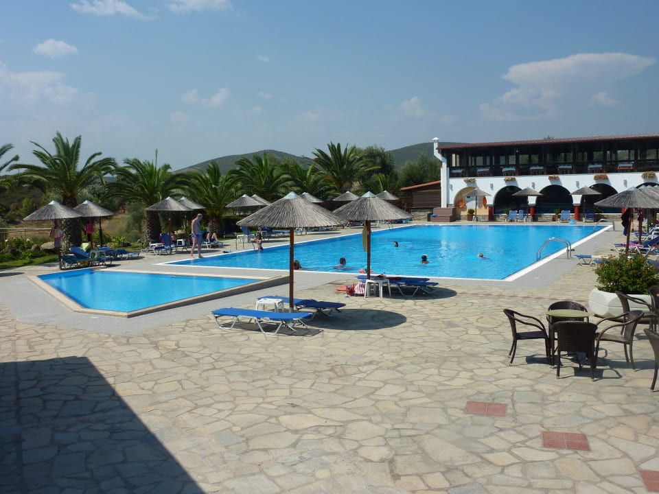 Pool Blue Dolphin Resort Hotel