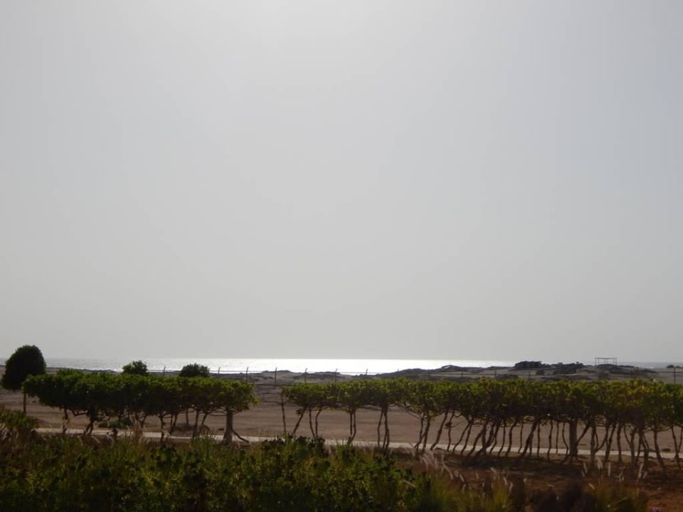 Ausblick aus unserem Zimmer Wyndham Garden Salalah Mirbat