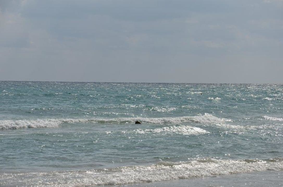 Morze Nour Palace Resort & Thalasso