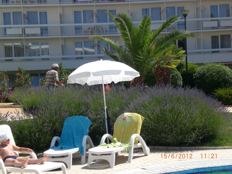 Relaxen am Pool Laguna Maradiso Hotel by Aminess