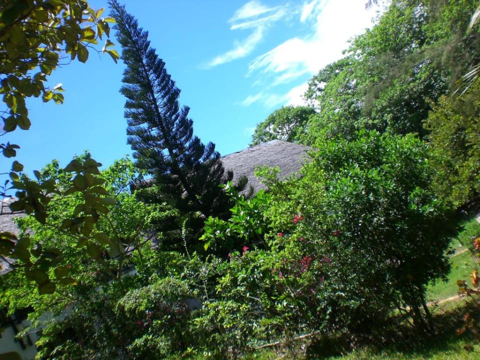 Betrunken? Hotel Papillon Lagoon Reef