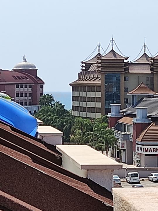 Zimmer Well Palace Side