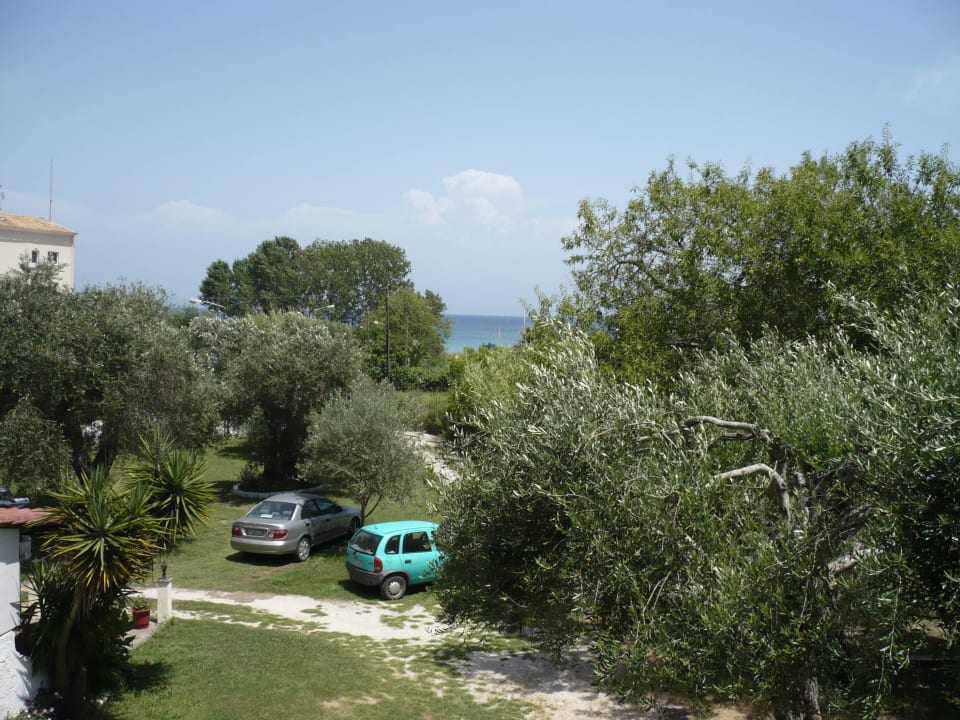 View from the room Hotel Fire Fly