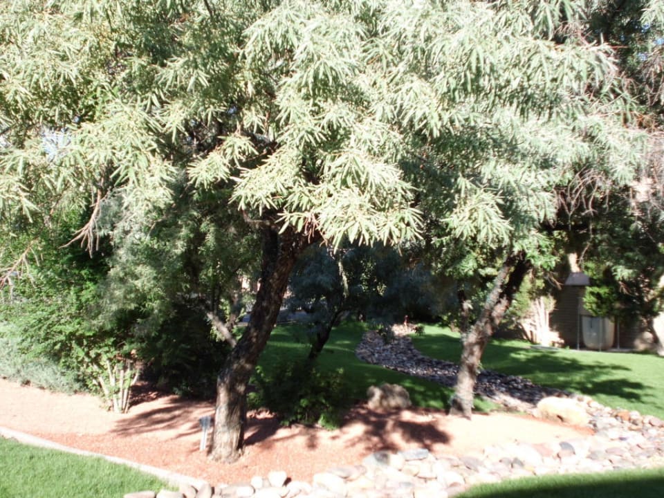 Schöne Gartenanlage The Squire at Grand Canyon