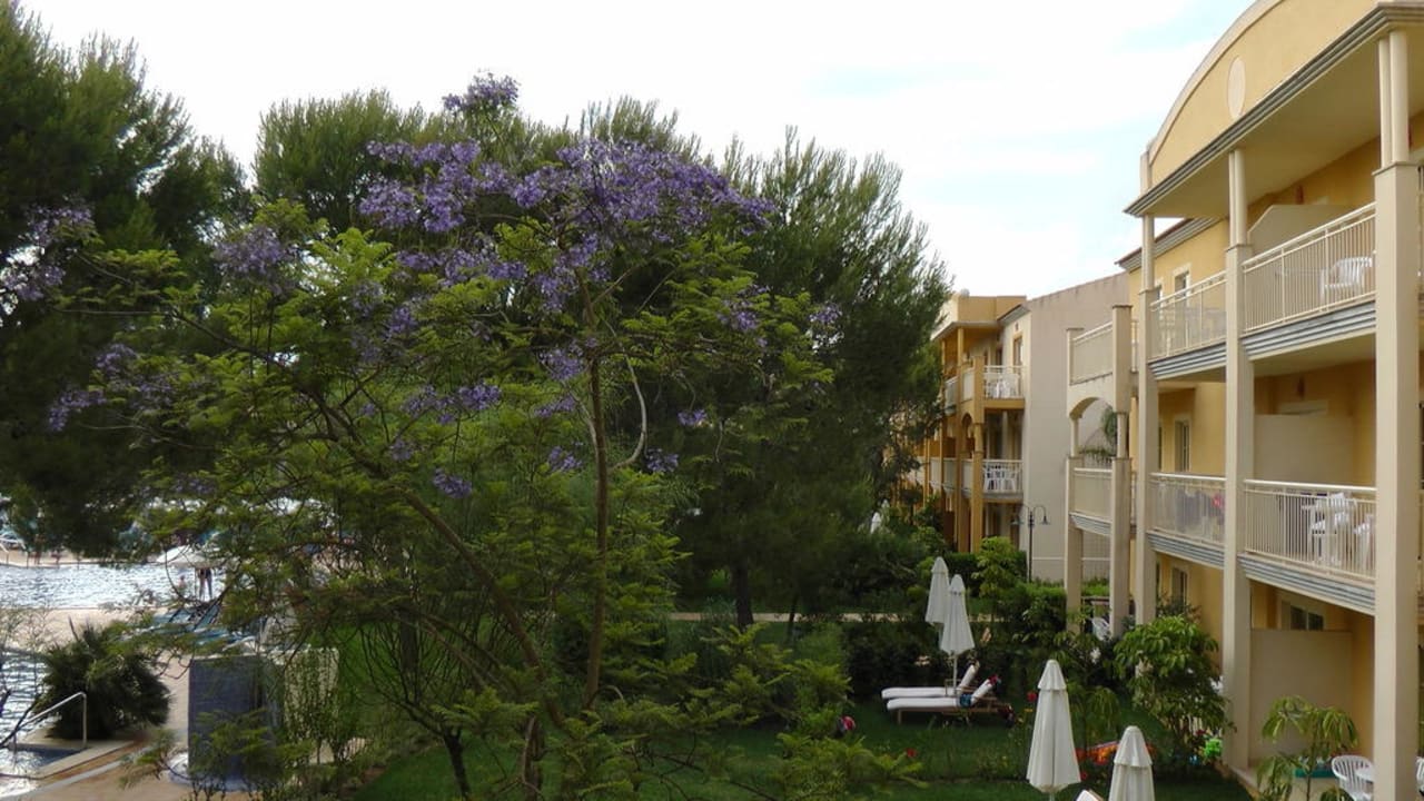 Ausblick vom Balkon Zafiro Mallorca