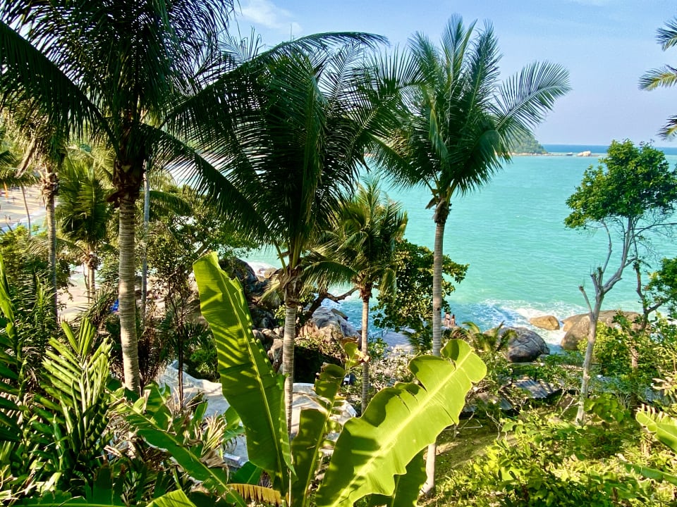Gartenanlage Panviman Resort Koh Phangan