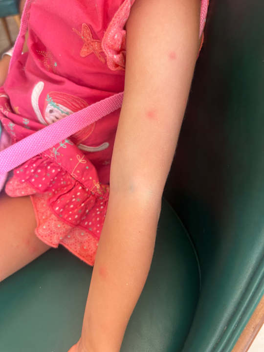 Zimmer Titanic Beach Spa & Aqua Park