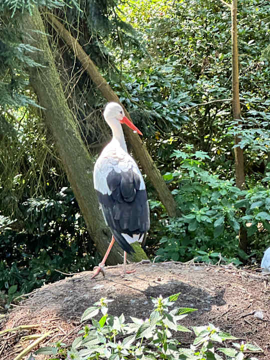 Sonstiges Landhotel Ehlers