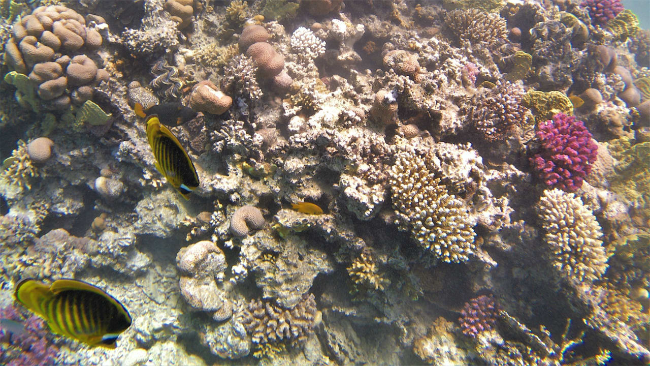 Sport & Freizeit Makadi Spa - Adults only