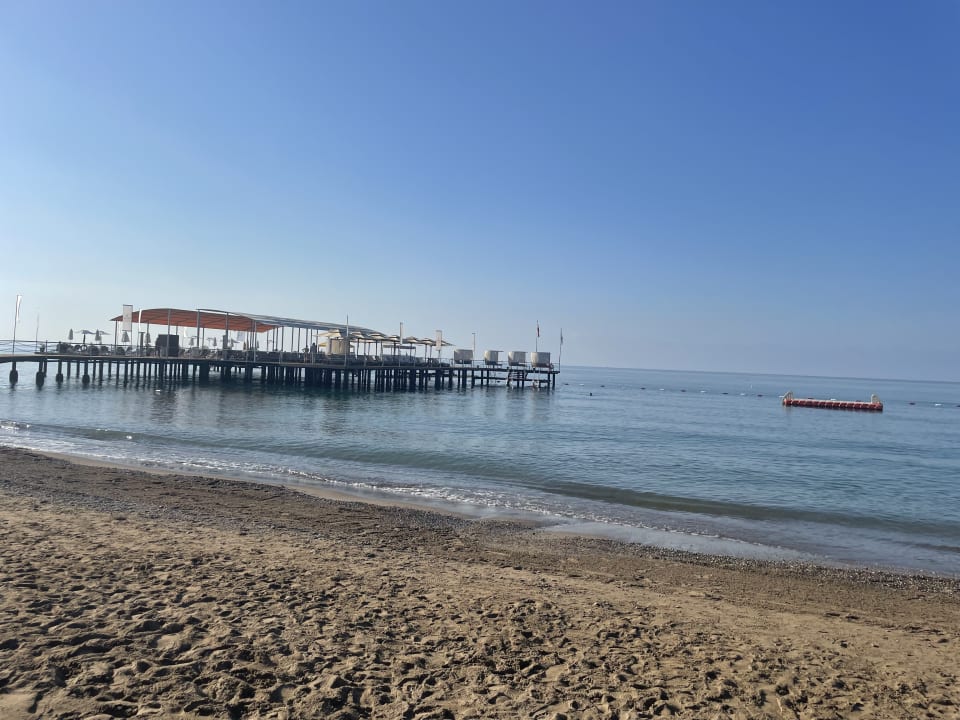 Strand Papillon Ayscha