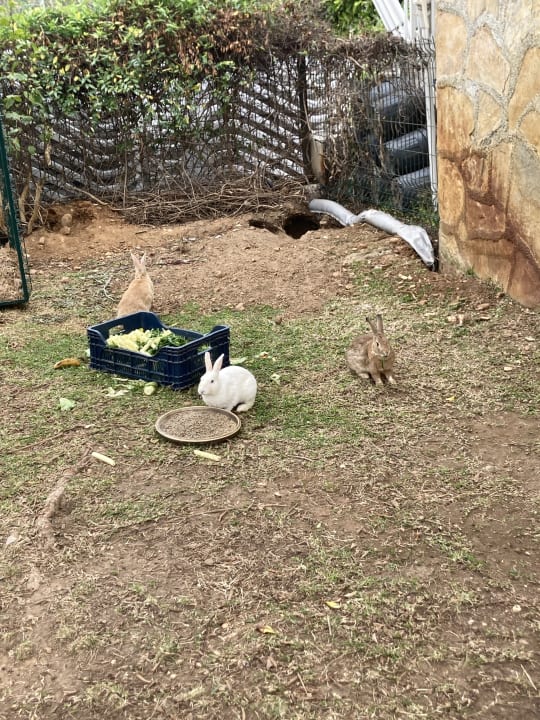 Sport & Freizeit Crystal Family Comfort Collection