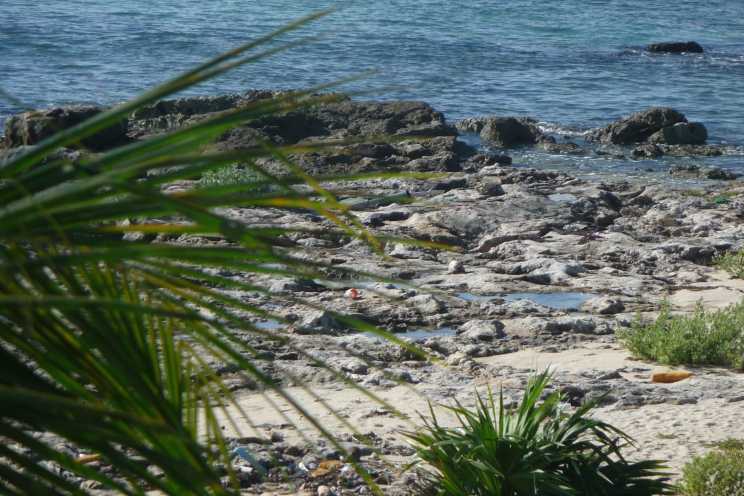 Strand mit Steinen durchsetzt El Dorado Royale