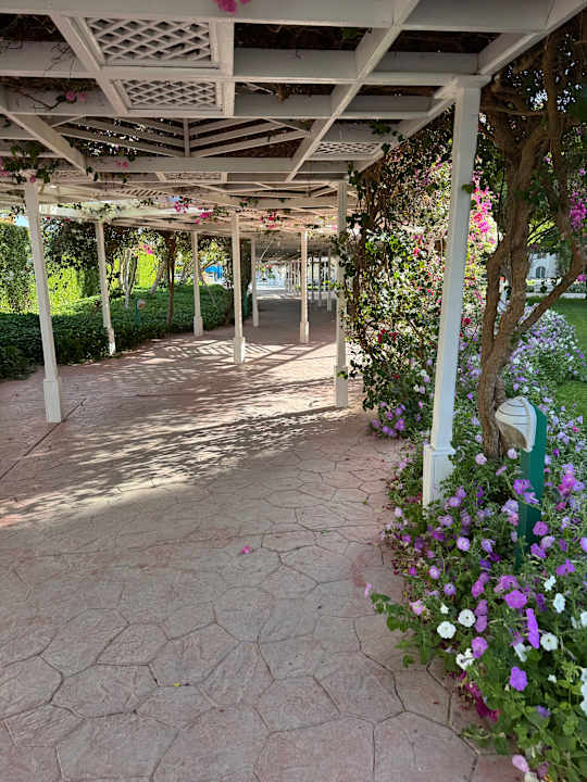 Gartenanlage Desert Rose