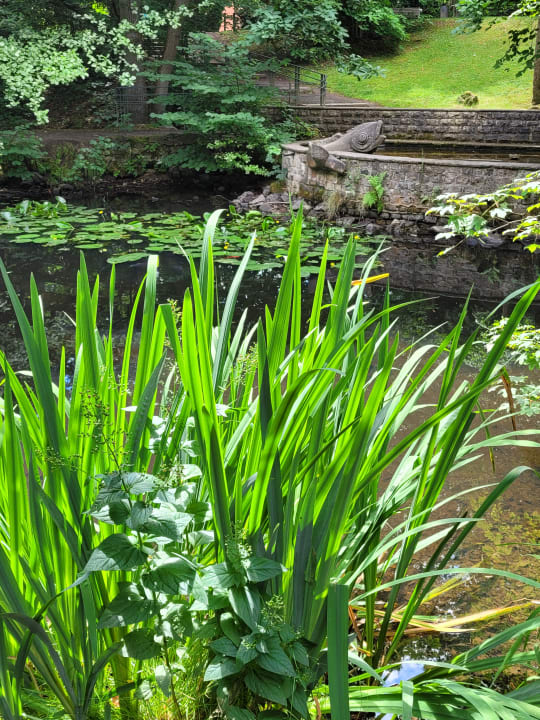Gartenanlage Romantischer Winkel RoLigio® & Wellness Resort