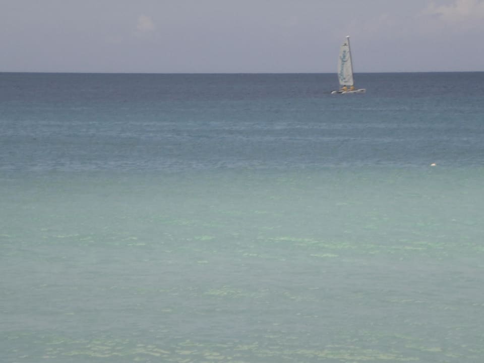 Traumhaftes karibisches Meer Couples Swept Away - Adults only