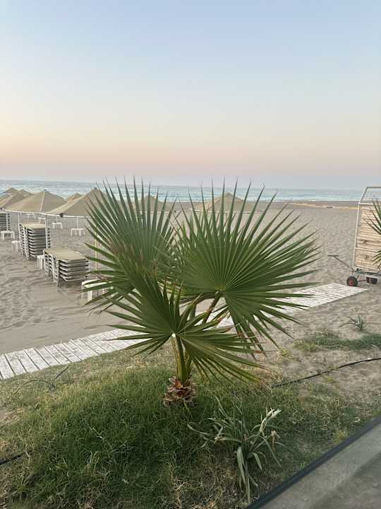 Strand Hotel Odyssia Beach