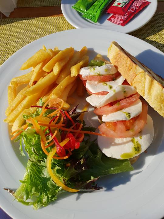 Gastro Acanthus Cennet Barut Collection