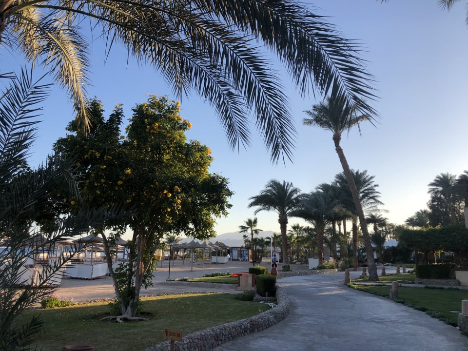 Strand Imperial Shams Abu Soma