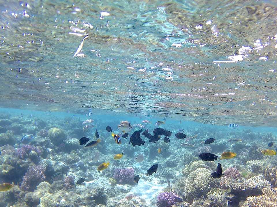 Sport & Freizeit Hotel Mercure Hurghada