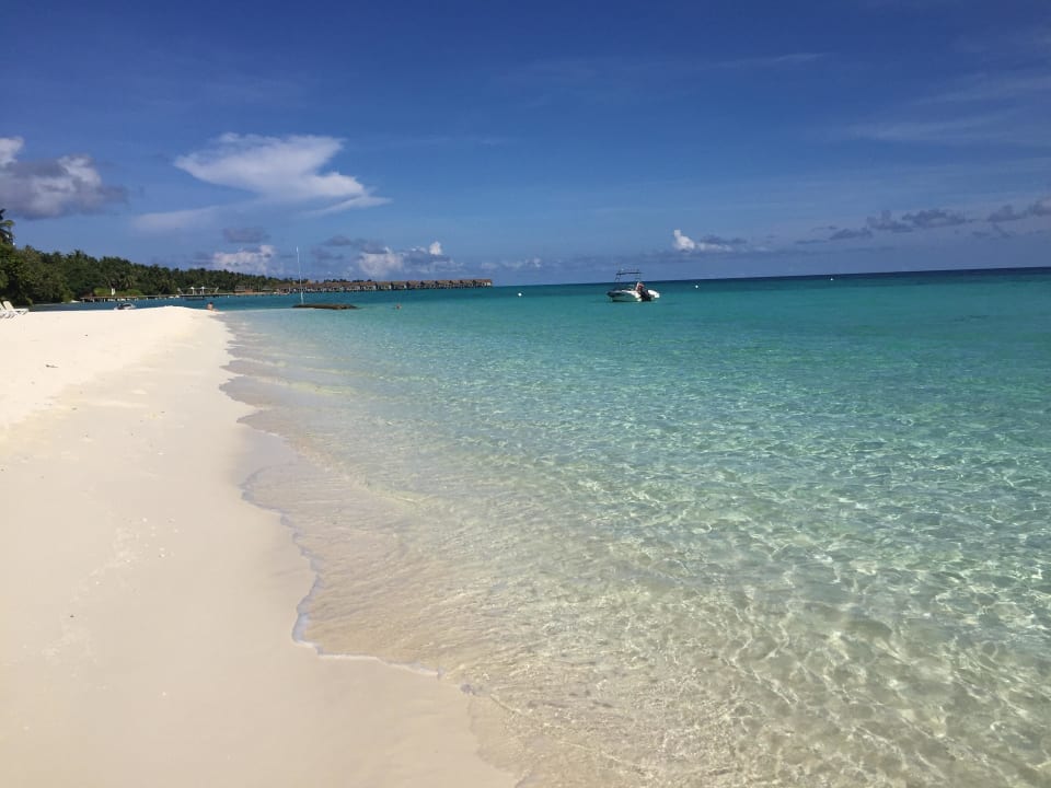 Der wunderschöne Strand Lagunenseite Kuramathi Maldives
