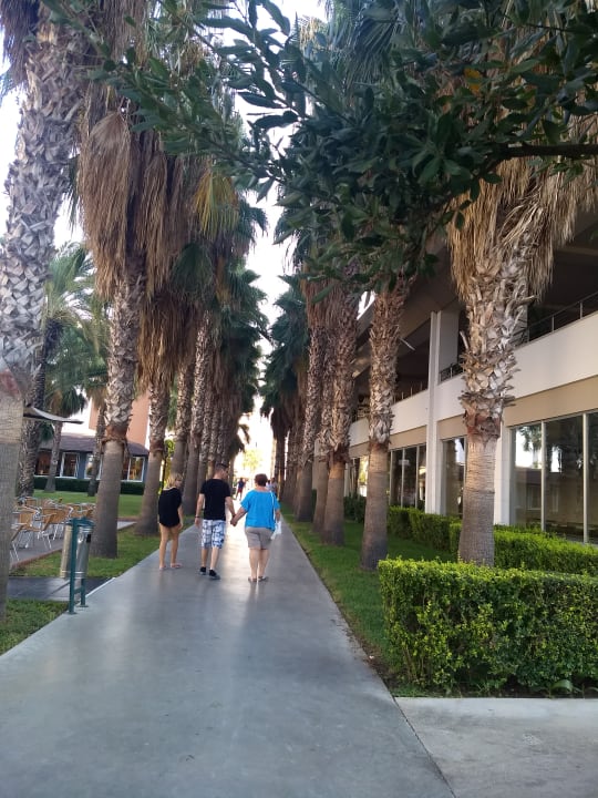 Gartenanlage Hotel Royal Garden Beach