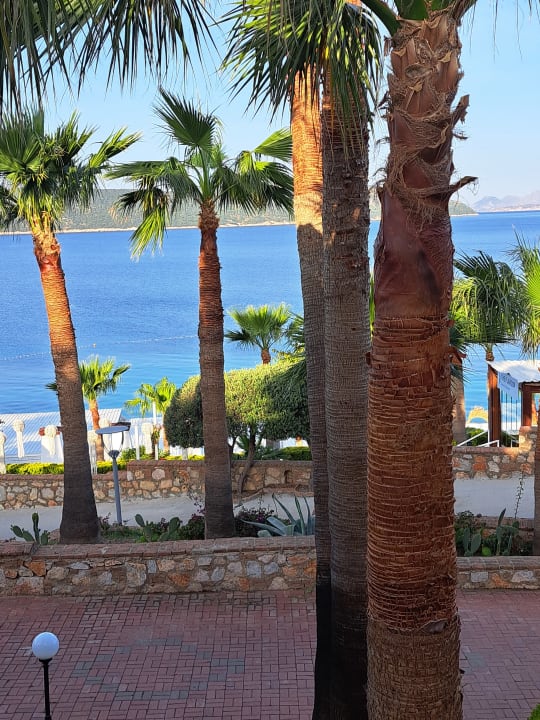 Ausblick TUI MAGIC LIFE Bodrum - Adult Only (16+)
