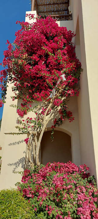 Außenansicht Sultan Bey Hotel, El Gouna